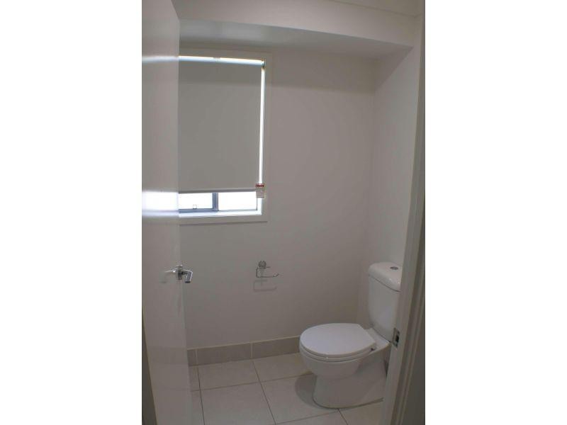 17 Toolona Street, Coomera QLD 4209