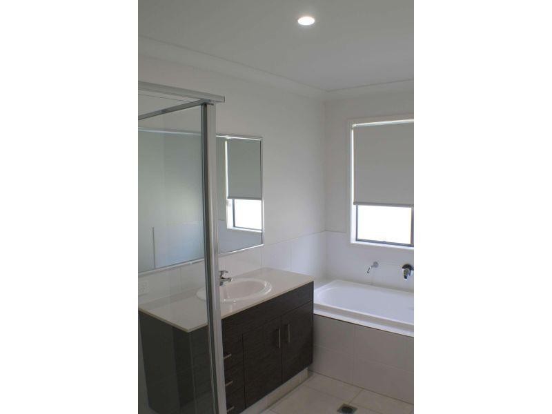 17 Toolona Street, Coomera QLD 4209