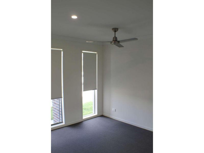 17 Toolona Street, Coomera QLD 4209