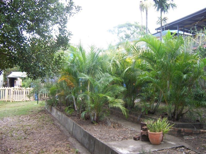 65 Annie Street, Auchenflower QLD 4066