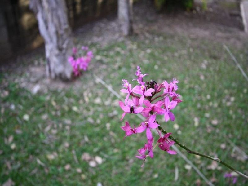 6/26 Raby Road, Coorparoo QLD 4151