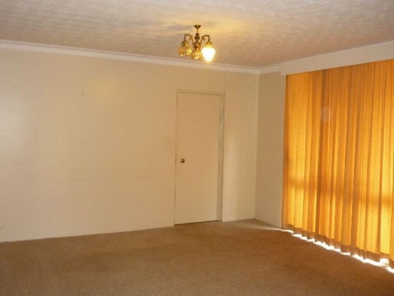 1/337 Cavendish Road, Coorparoo QLD 4151