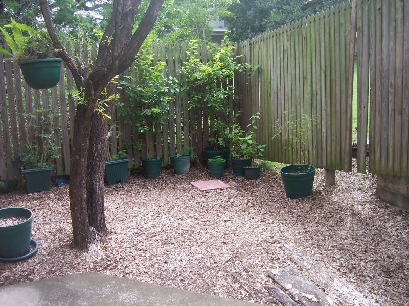 4/37 Riverview Terrace, Indooroopilly QLD 4068