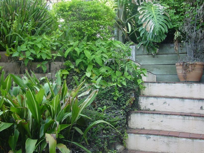 105 Hale Street, Petrie Terrace QLD 4000