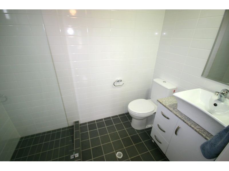 77 Macrossan Avenue, Norman Park QLD 4170