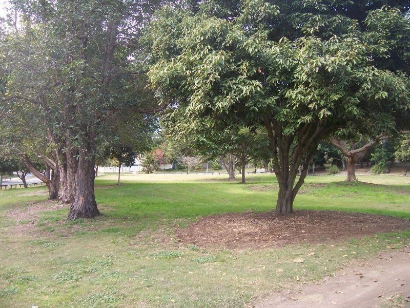 5/30 Praed Street, Red Hill QLD 4059