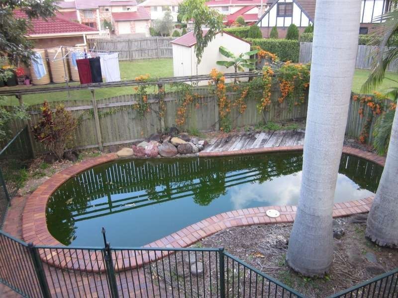 26 Lynelle Street, Sunnybank Hills QLD 4109