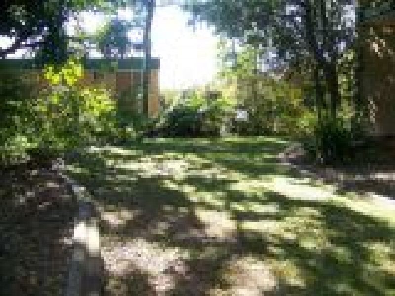 7/31 Chasely Street, Auchenflower QLD 4066