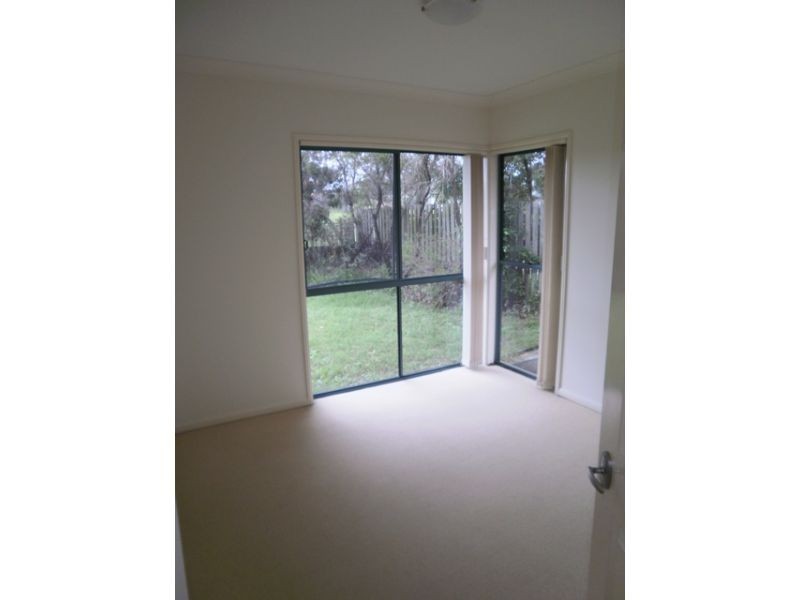 53 Vivacity Drive, Upper Coomera QLD 4209