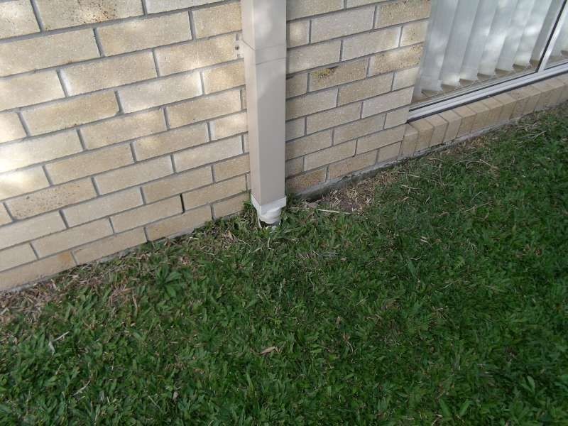 28 Fallow Court, Upper Coomera QLD 4209