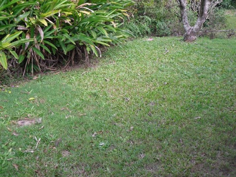 51 Ison Street, Morningside QLD 4170