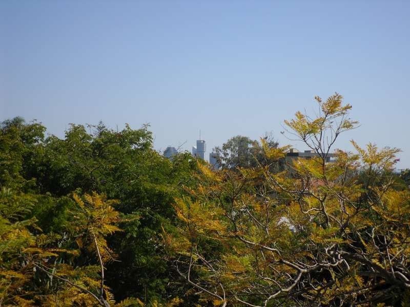 1/380 Cavendish Road, Coorparoo QLD 4151