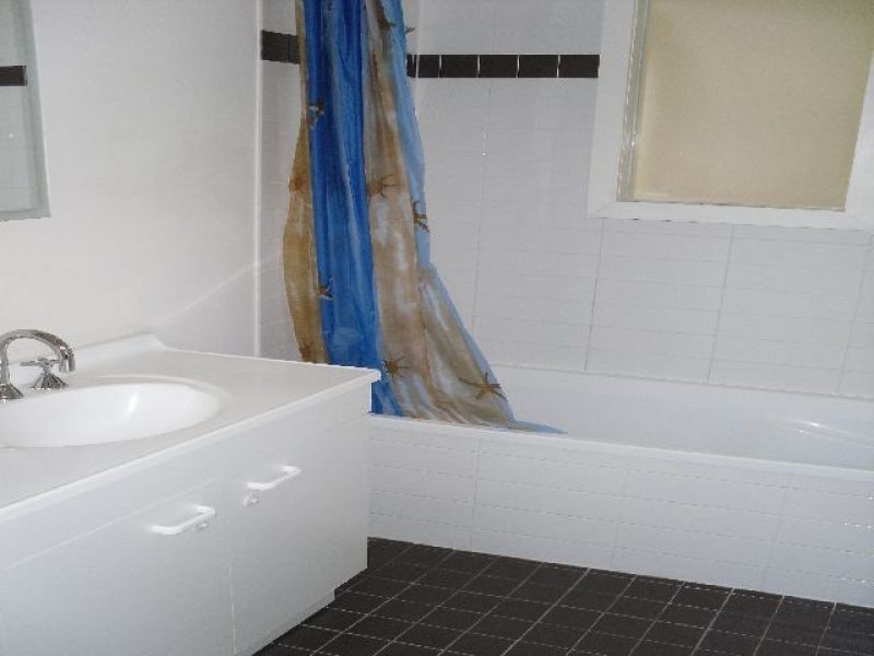 1/53 Ashton Street, Coorparoo QLD 4151