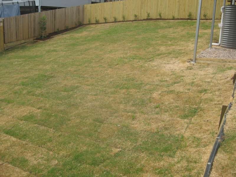 4 Majestic Street, Narangba QLD 4504