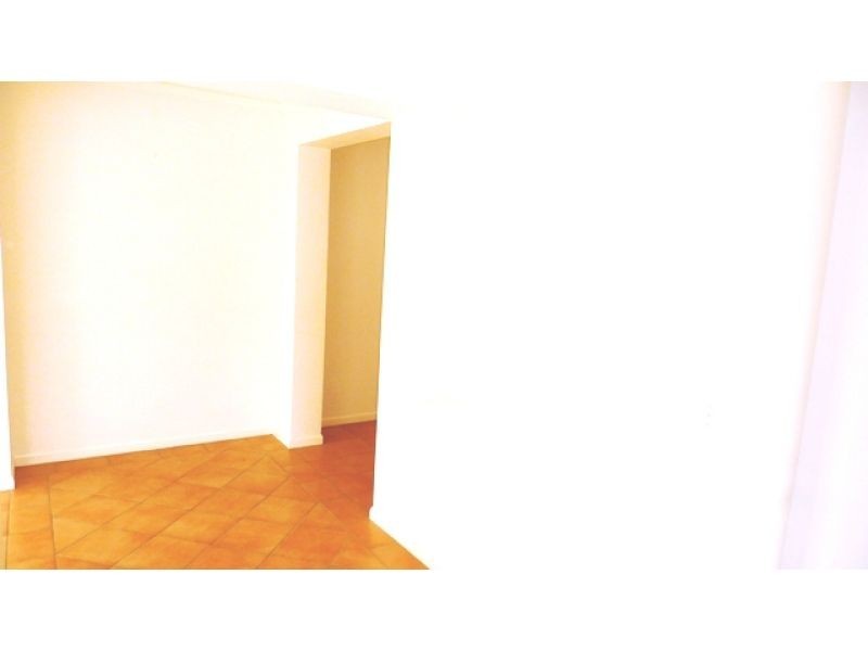 10 Nypa Street, Robina QLD 4226