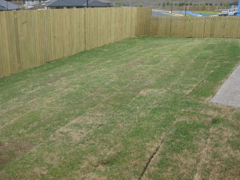 1, 1 Plover Court, Warner QLD 4500