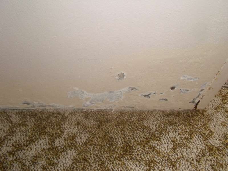 4/1 Waverly Street, Southport QLD 4215