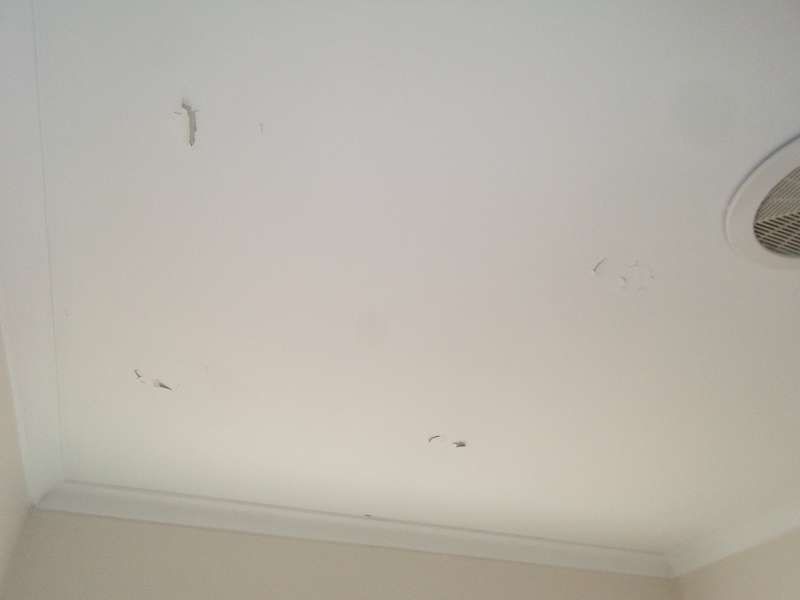 22 Grovedale Court, Parkwood QLD 4214