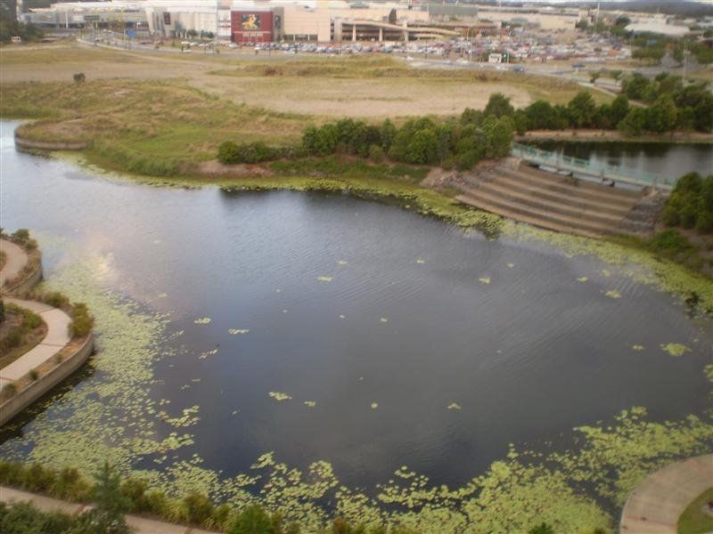 147 Laver Drive, Robina QLD 4226