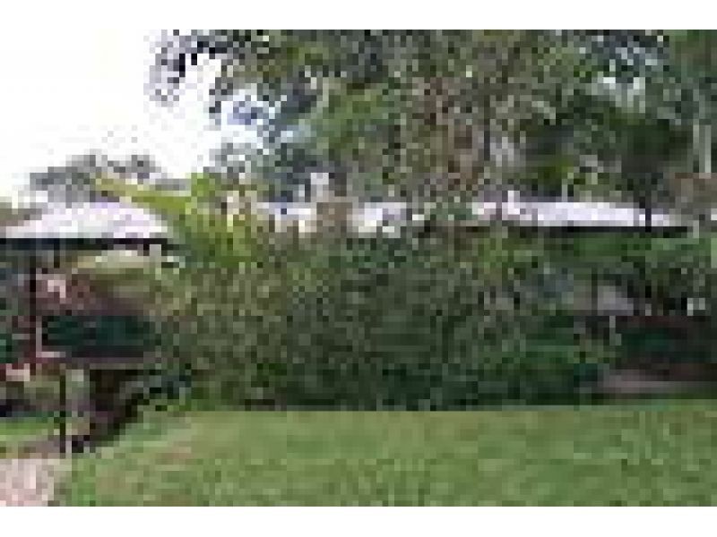 280 Marshall Road, Tarragindi QLD 4121