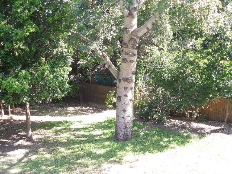 280 Marshall Road, Tarragindi QLD 4121