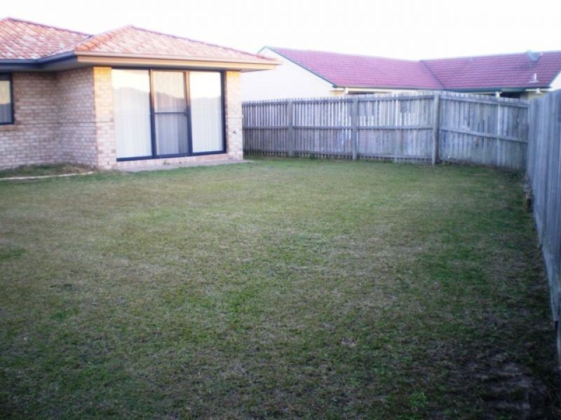 61 Fawn Street, Upper Coomera QLD 4209