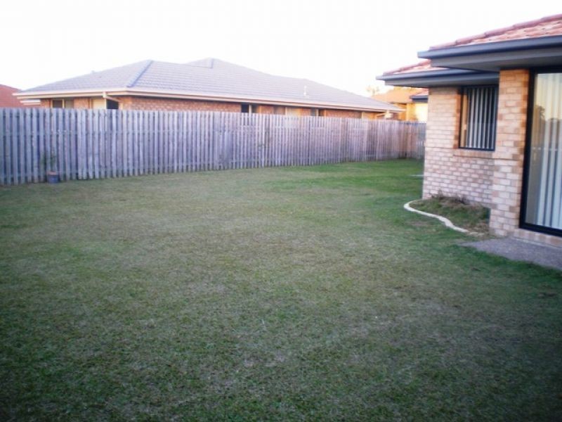 61 Fawn Street, Upper Coomera QLD 4209