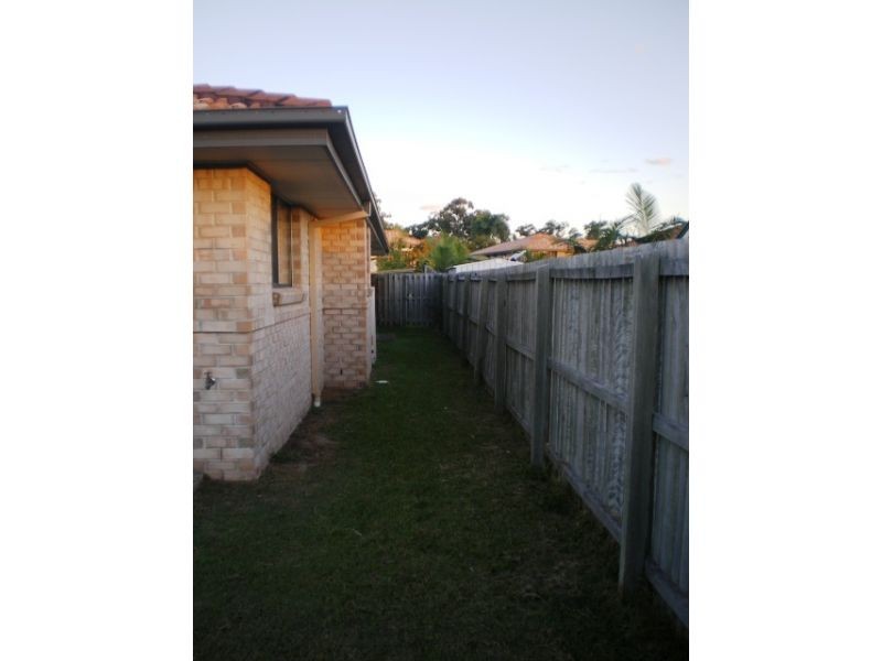 61 Fawn Street, Upper Coomera QLD 4209