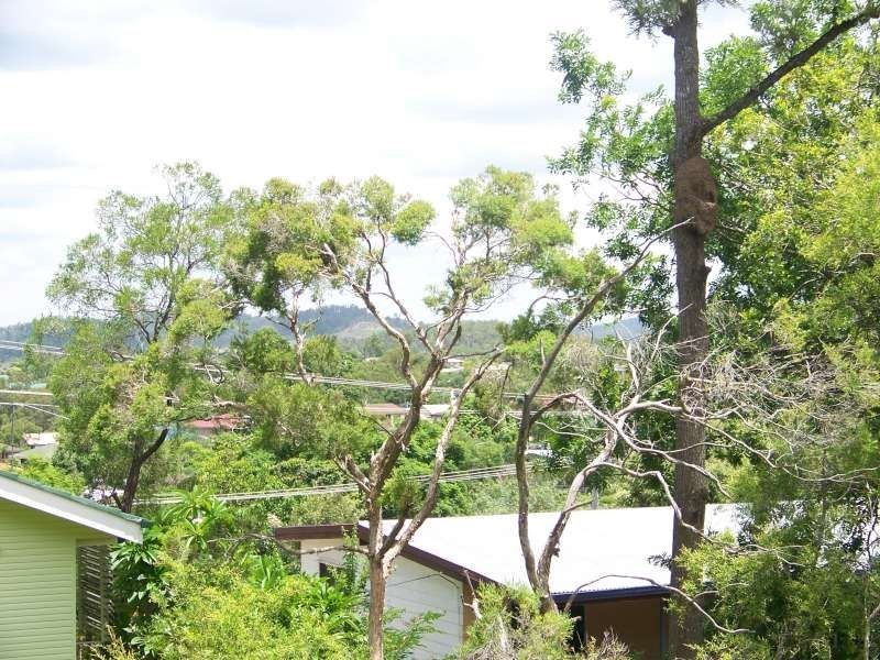 6 Camden Court, Arana Hills QLD 4054