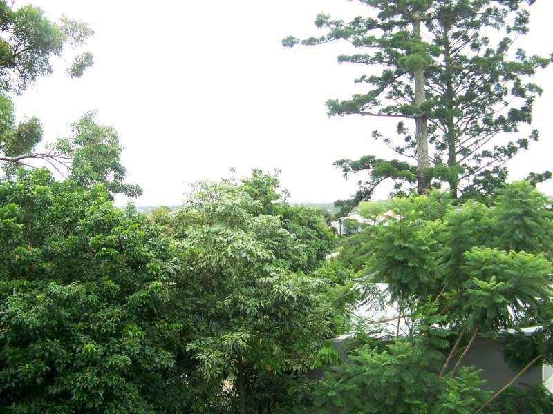 3/1 Arthur Terrace, Red Hill QLD 4059