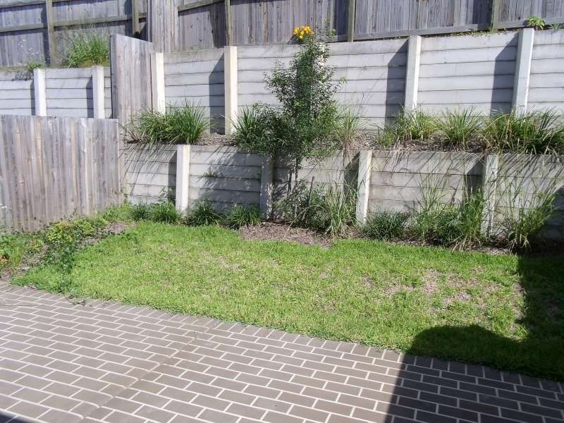 1/6 Spirula Street, Upper Coomera QLD 4209