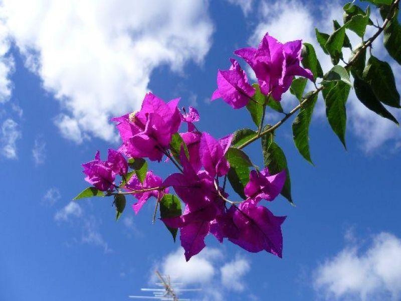 187 Ryhill Road, Sunnybank Hills QLD 4109