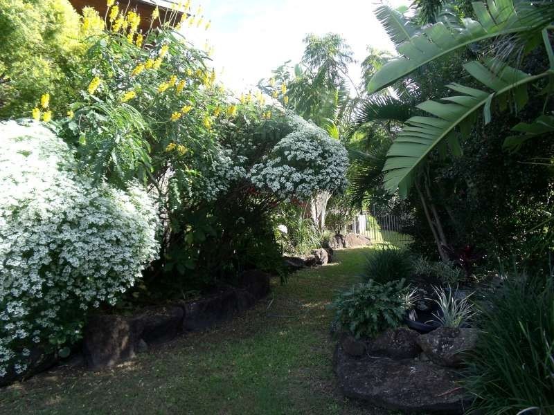 207 Heeb Street, Benowa QLD 4217