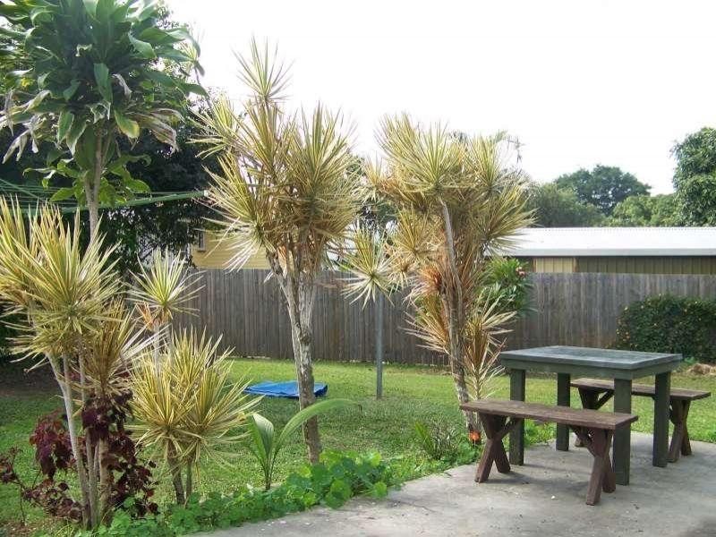 33 Bega Street, Grange QLD 4051