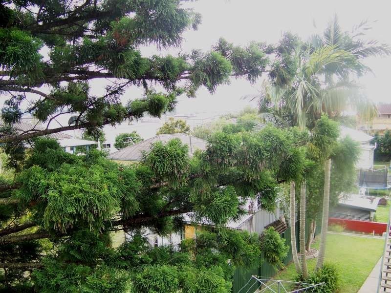 6/31 Glen Street, Moorooka QLD 4105