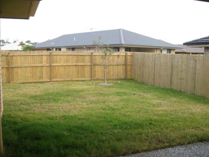 19 Lomandra Drive, Morayfield QLD 4506