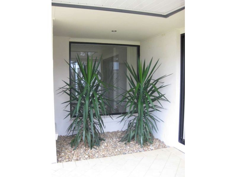15 Cherrytree Crescent, Upper Caboolture QLD 4510
