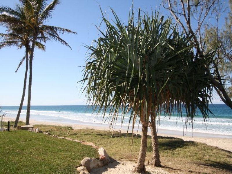 9/26 Albatross Avenue, Mermaid Beach QLD 4218