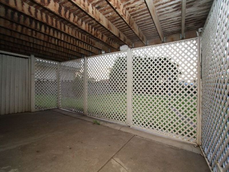 66 Kirkland Avenue, Coorparoo QLD 4151