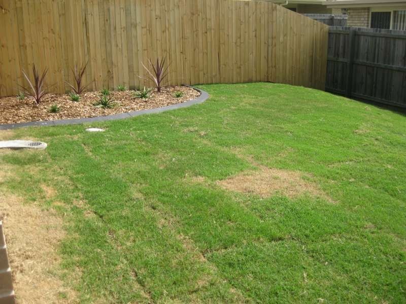 2/8 Telopea Place, Morayfield QLD 4506