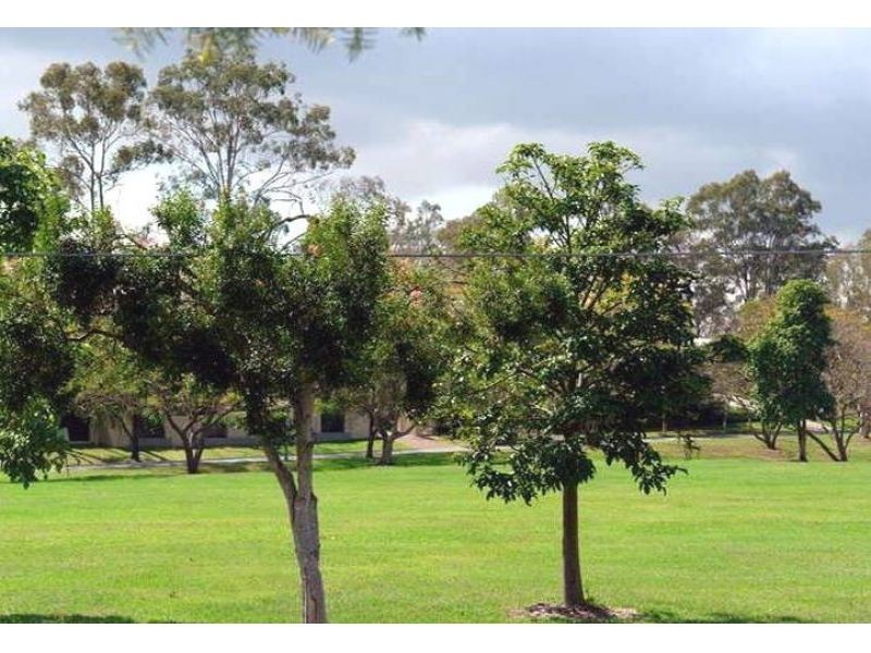 43 Wharf Street, Chelmer QLD 4068