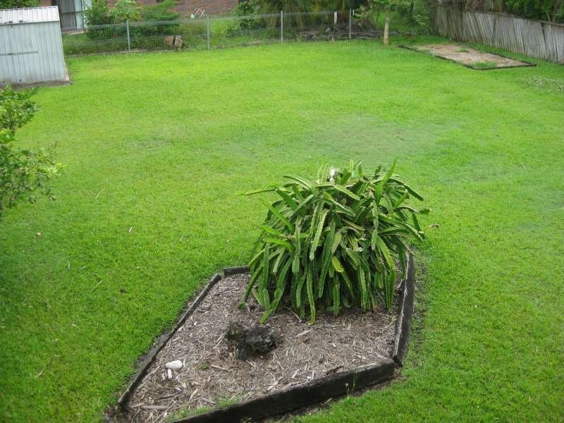 29 Pamela Street, Burpengary QLD 4505