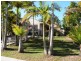 3 Pimelea Street, Mountain Creek QLD 4557
