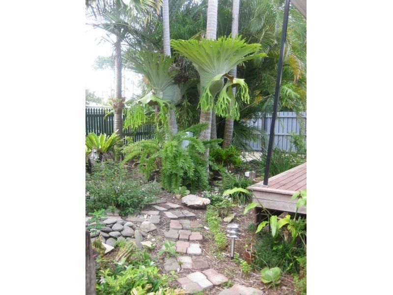 11 Bradman Street, Caboolture QLD 4510