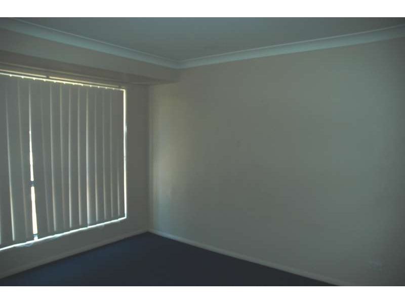17 Maclagen Street, Ormeau QLD 4208