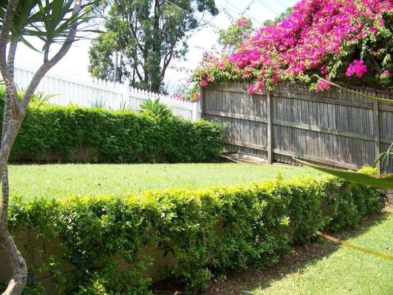 80 Willmington Street, Newmarket QLD 4051