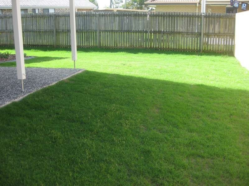 29 Newmarket Drive, Morayfield QLD 4506