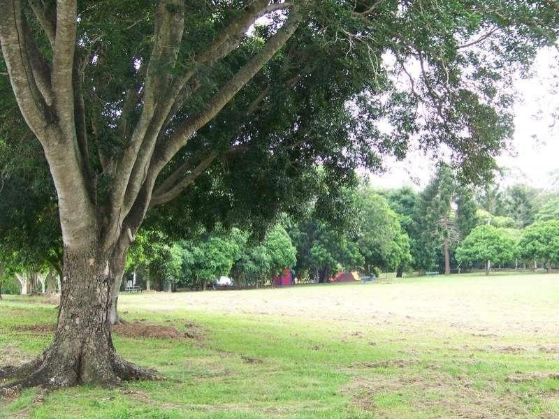 23 Empress Terrace, Bardon QLD 4065