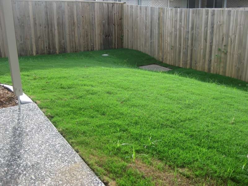 1/17 Telopea Place, Morayfield QLD 4506