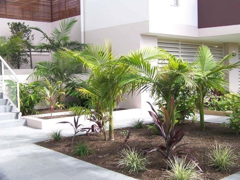 2, 62 Buller Street, Everton Park QLD 4053